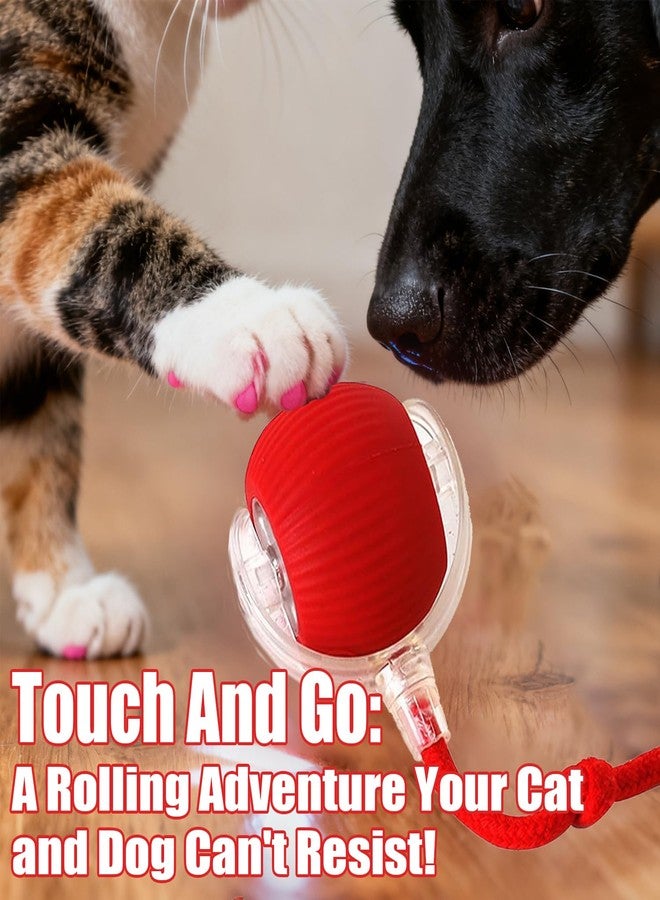 Treayes 2025 New Interactive Dog Cat Toys Balls,Interactive Rolling Ball Cat Toy, 360° Smart Automatic Rolling Pet Ball, Fast Moving Toy for Dog and Cat(Red) - Image 3